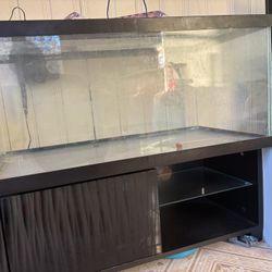 40 Gallon Fish Tank With Stand 