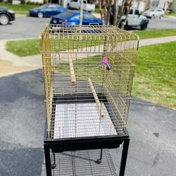 Bird Cage $150. KING’S CAGES 