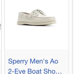 Paul Sperry Men’s Size 11
