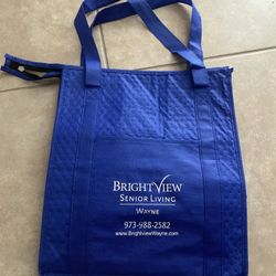 Blue Insulated Bag