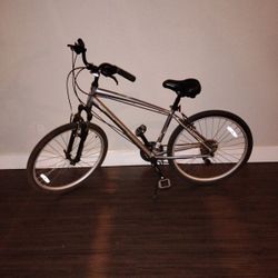 Schwinn Fordham 