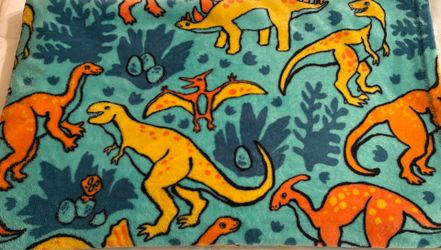 Dinosaur blanket