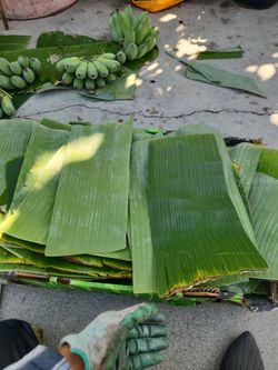 Banana leaf
