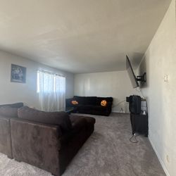 Brown Sectional Couches 
