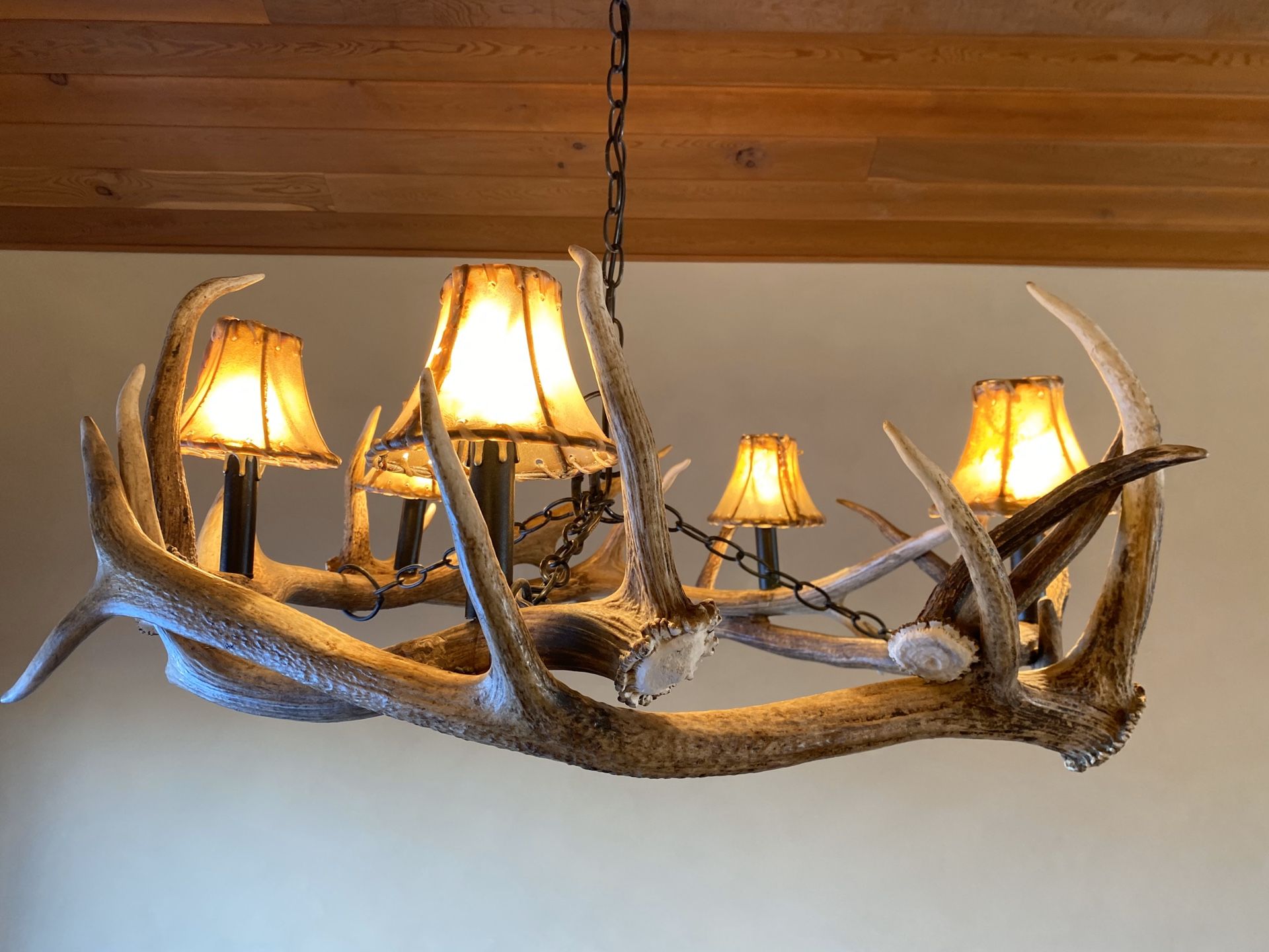 Antler Light Fixture