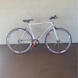 Fixie Bike