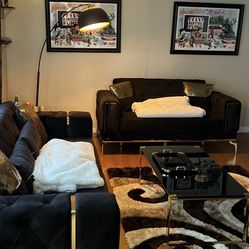 Black Foam Velvet Sofas 