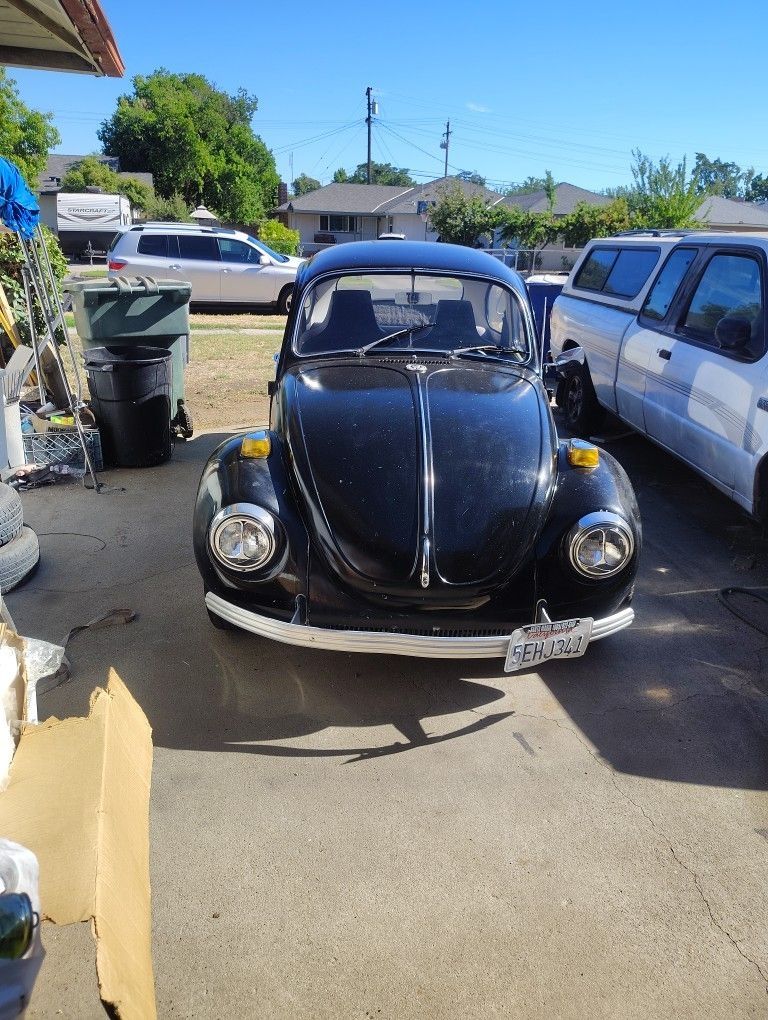 1971 Volkswagen 181
