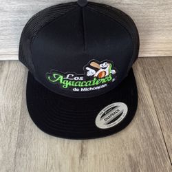 Snapback Hat$20