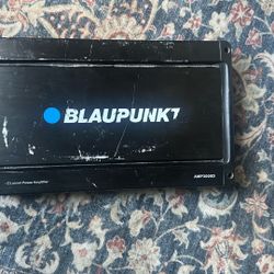 3000 Watt Amp 100 Or Best Offer 