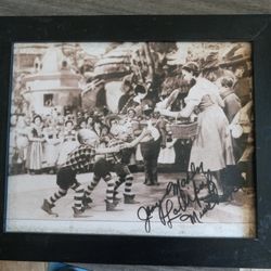 wizard of Oz Lollipop Boy