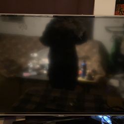 55 Inch TV With DVD Player