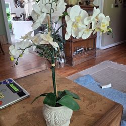 27x7 Artificial Orchid