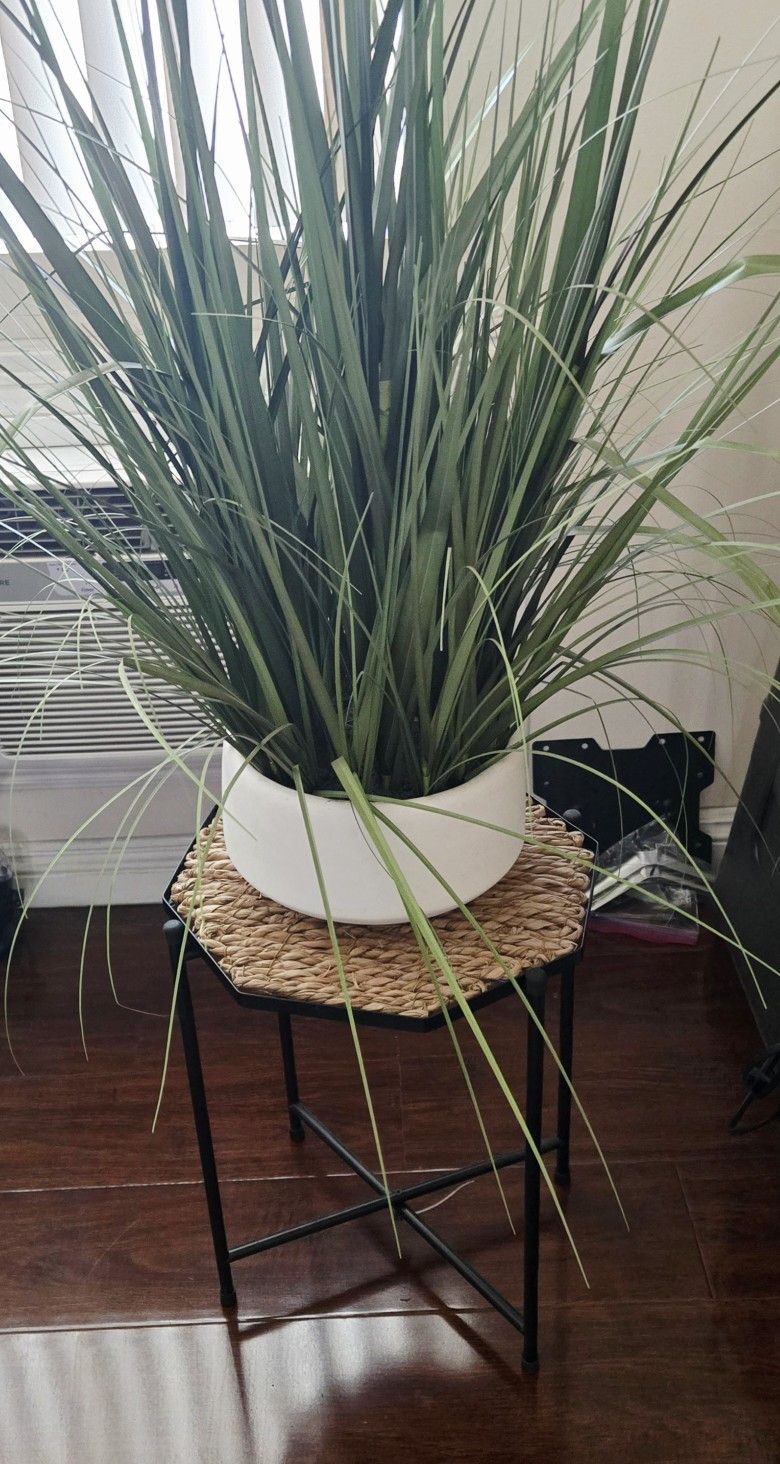 Medium Size Planter With Side Table