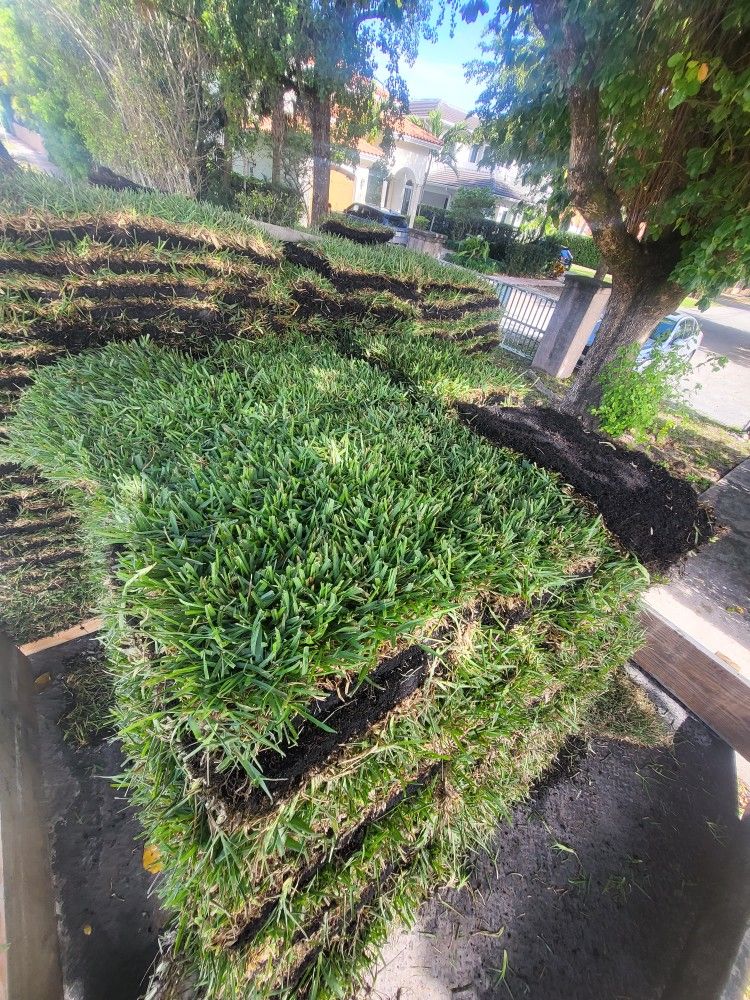 Sod For Sale We Lay It Down 👌