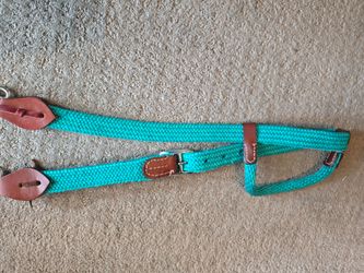 Headstall with bit