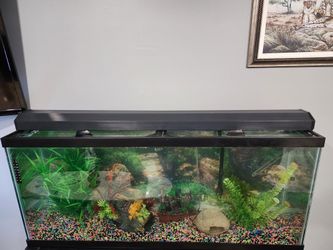 Working Fish Tank Light And Aqua Clear 110 Filter