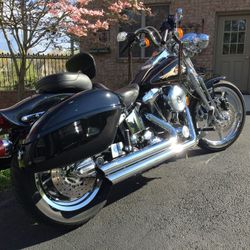 1998 Harley Davidson Soft Tail Springer