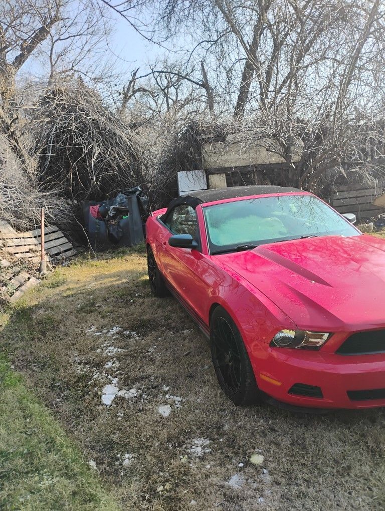 2010 Ford Mustang