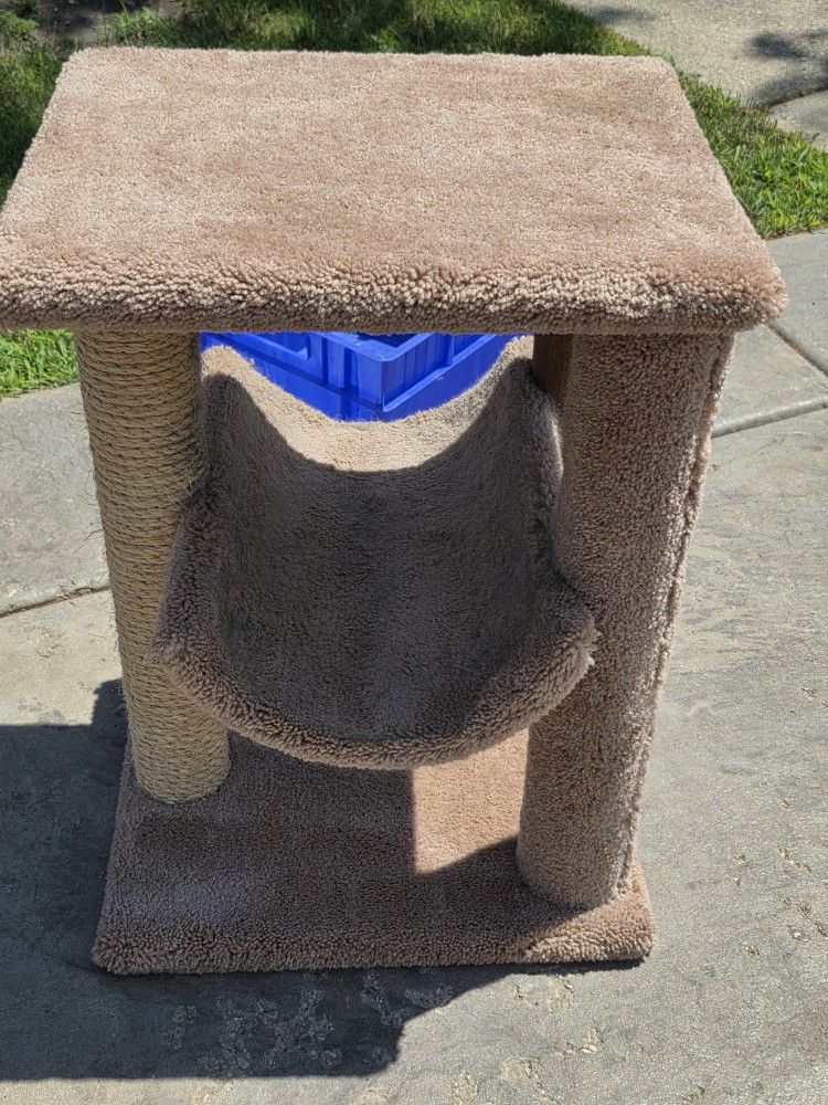 Cat House/scratcher