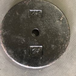 25 Lbs Weight Plate. 