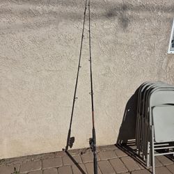 Berkley Fusion Pole And Okuma Reel Combo