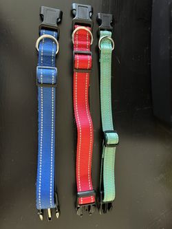 Dog Collars