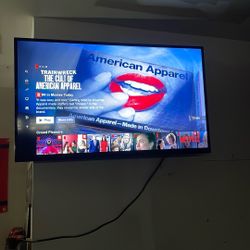 42” Vizio Flat Screen TV 