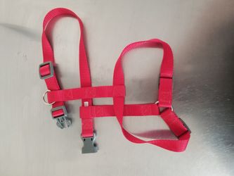 Dog Collar / Harness