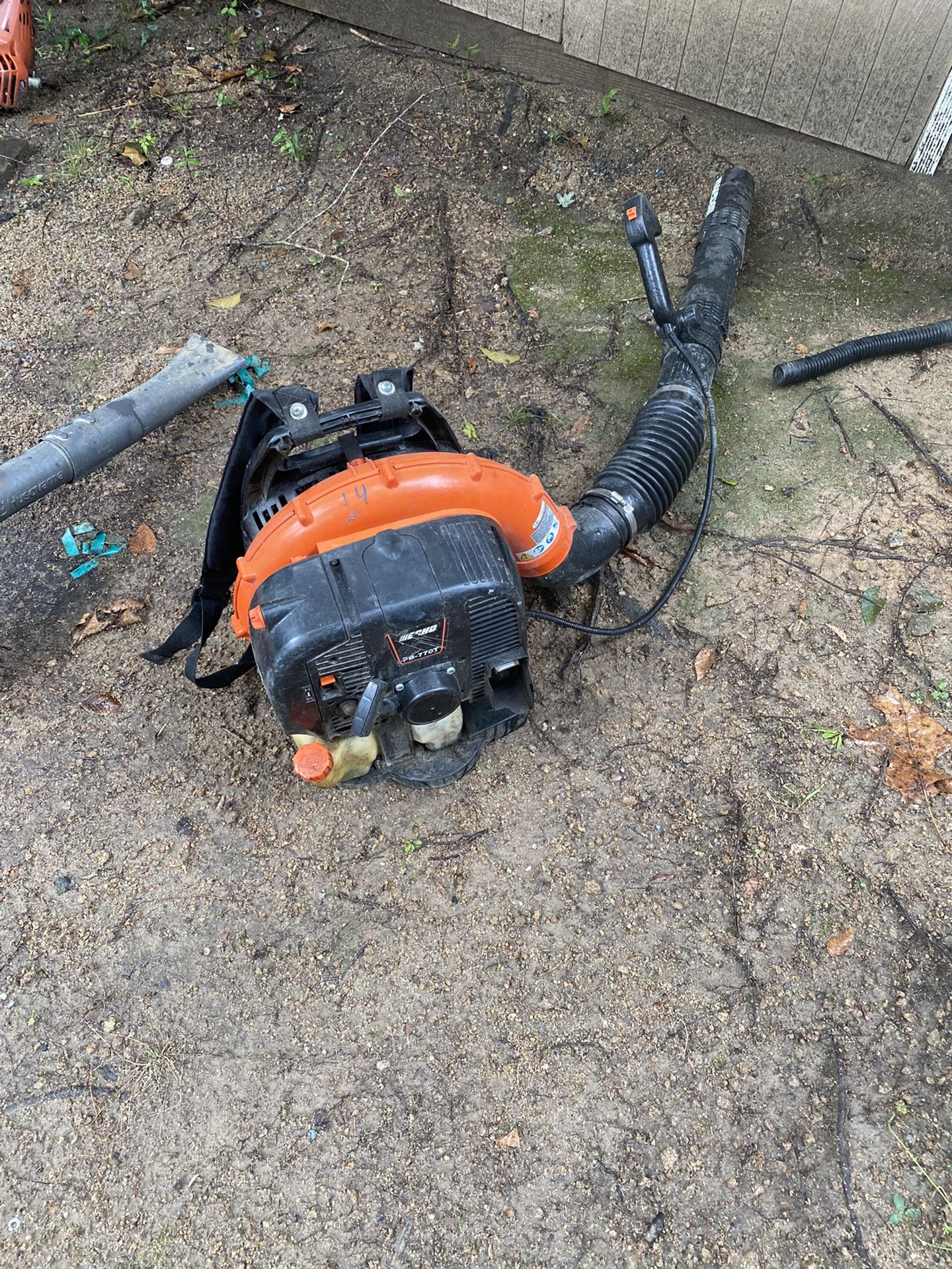 Echo Leaf Blower