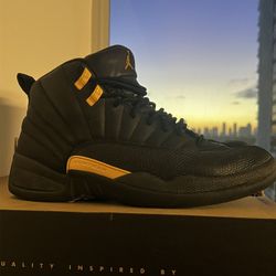 Jordan 12 Black Taxi 10.5