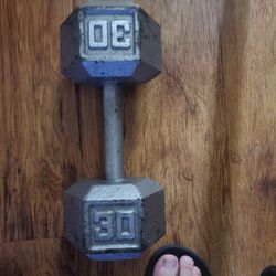 30 Lb Dumbell