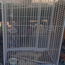 Bird Cage