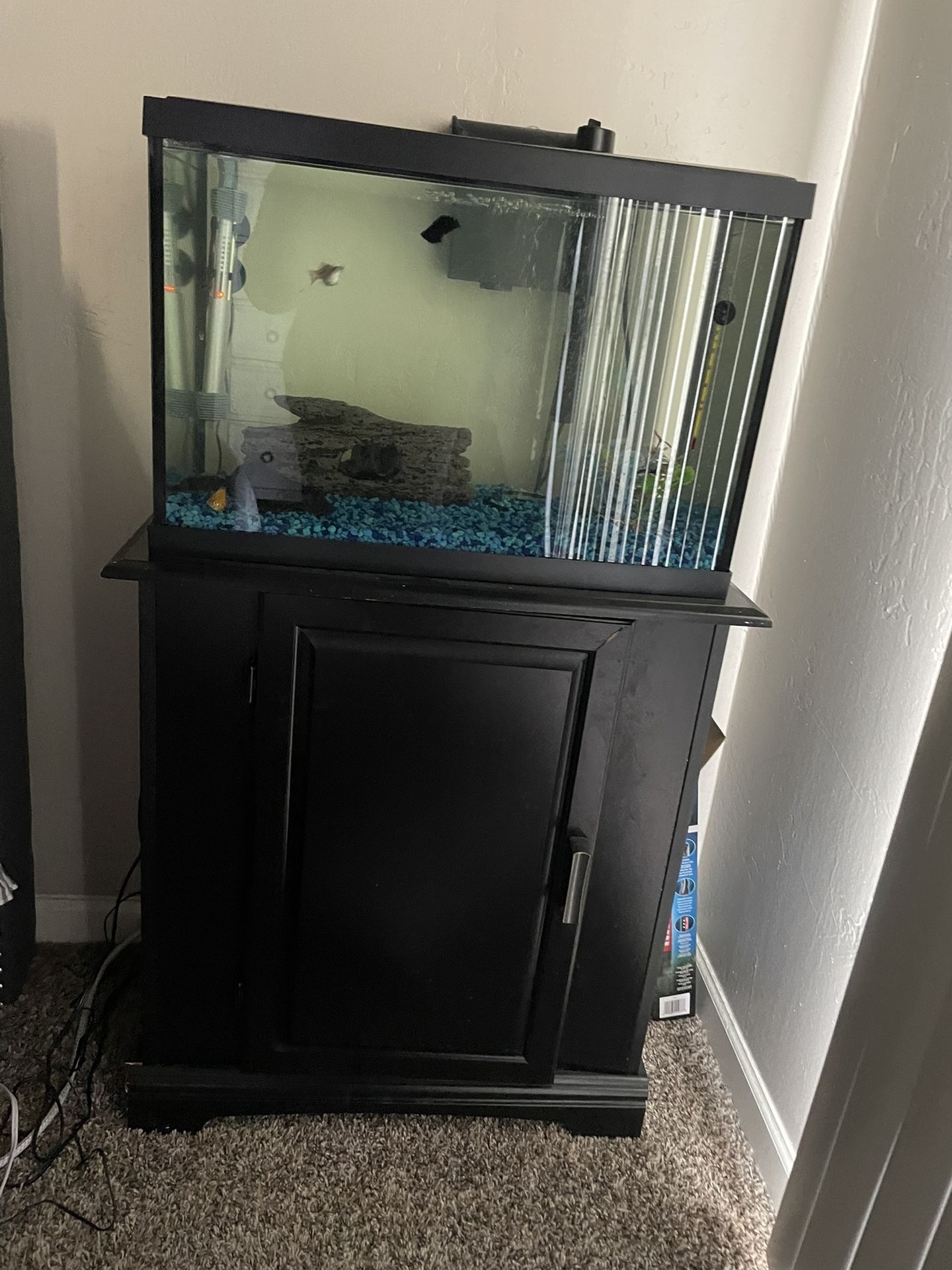 20-gallon-fish-tank-and-stand-for-sale-in-scottsdale-az-offerup