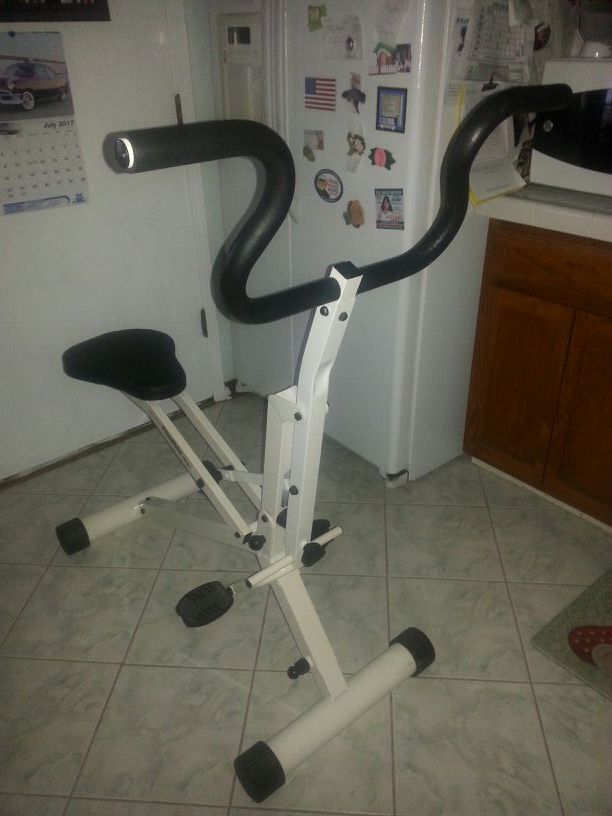 Denise Austin Prime Rider