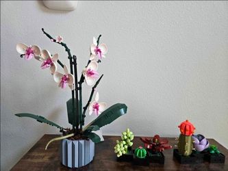 Lego Icons Botanical Collection Building Sets