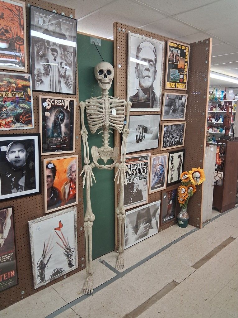 Skeleton, Art,mail Box Covers,photos, Barbies, Lamps,sports Items, Football Stuff