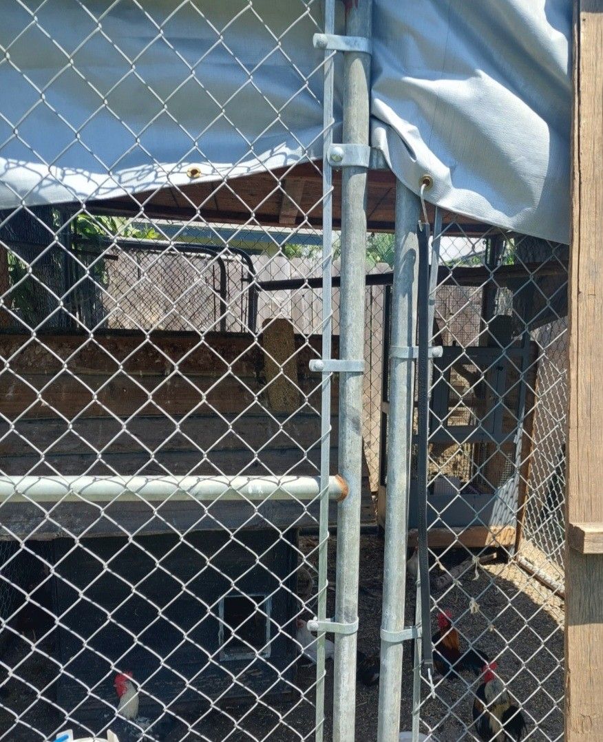 Dog Kennel For Puppies