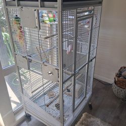 White Bird Cage 