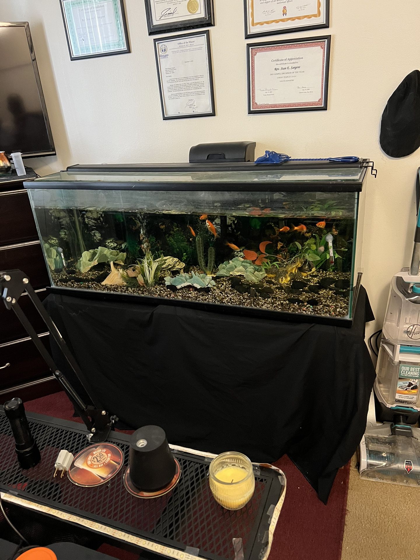 50 Gallon Fish Tank Aquarium Including Built Stand