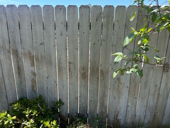 Wood Fencing