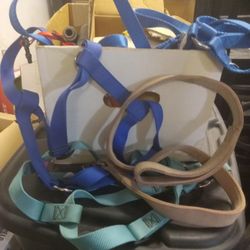Large Dog Harnesses