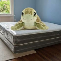 Queen Size Mattress regular With Box Spring Set Colchones Nuevos Queen Size Mattress Bed 