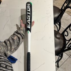 Easton Bat