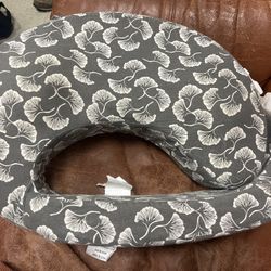 My Breast Freid. Pillow