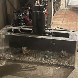 Fish Tank  Big 