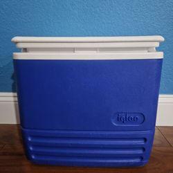 IGLOO 18QT COOLER $10
