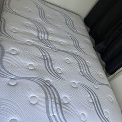 Free Queen Mattress 
