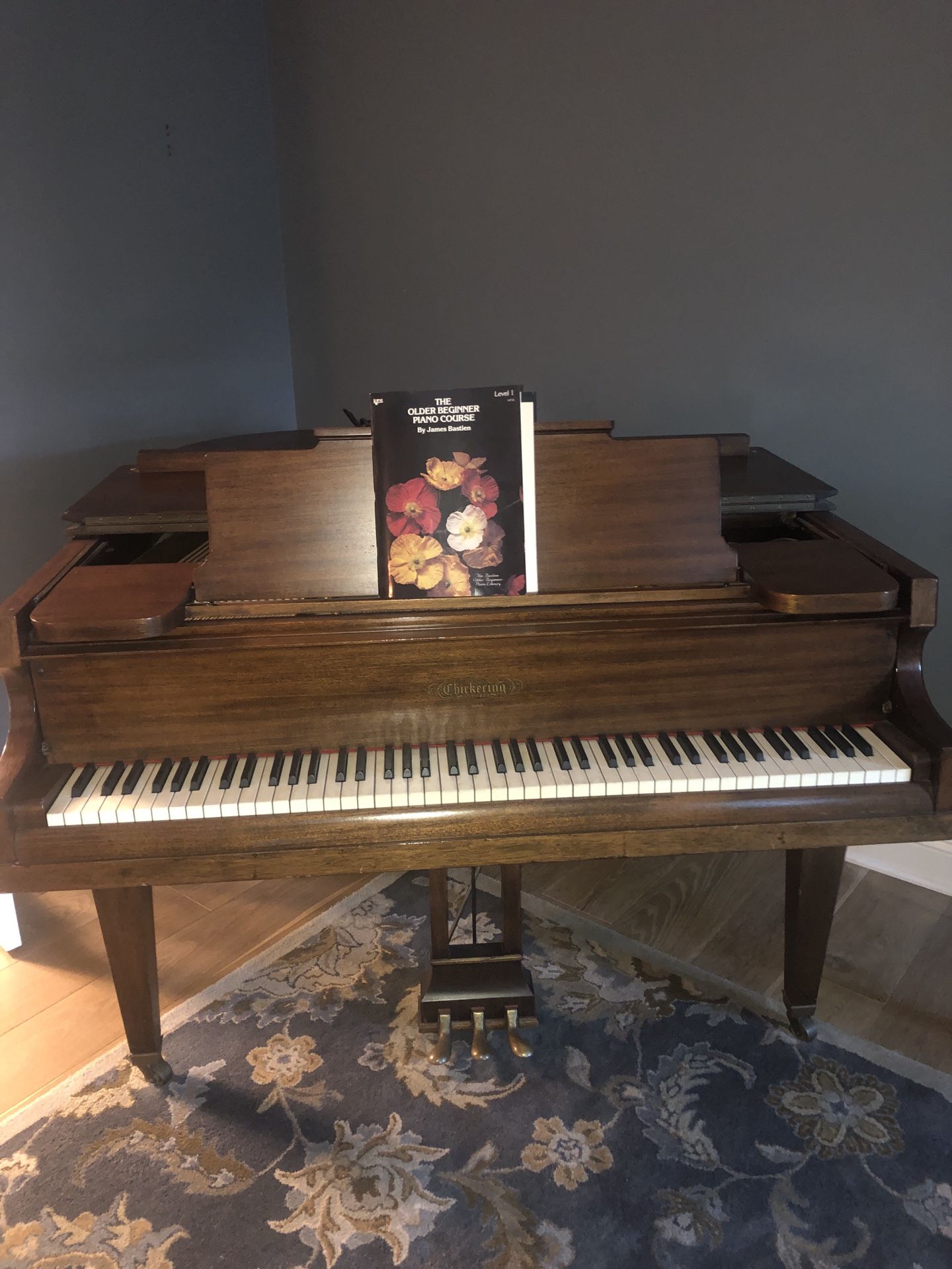 Piano (Chickering)