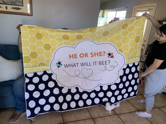 What Will It Bee Gender Reveal Decor